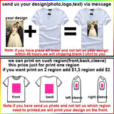 Assassins Creed T Shirt